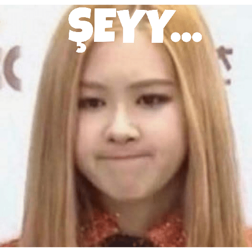 Blackpink türkçe 23