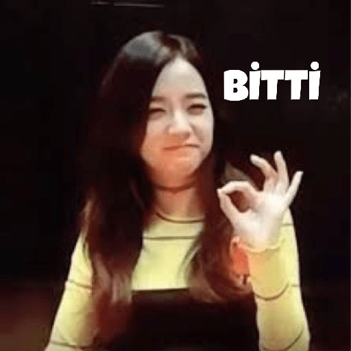 Blackpink türkçe 15