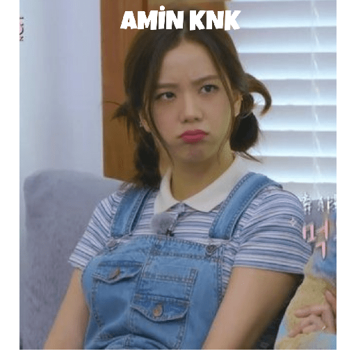 Blackpink türkçe 18