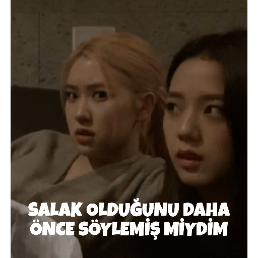 Blackpink türkçe 30