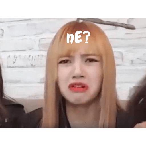 Blackpink türkçe 10