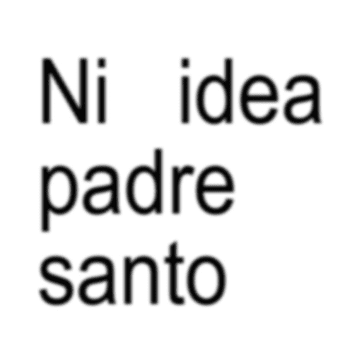 Ni idea Padre Santo TikTok 📲