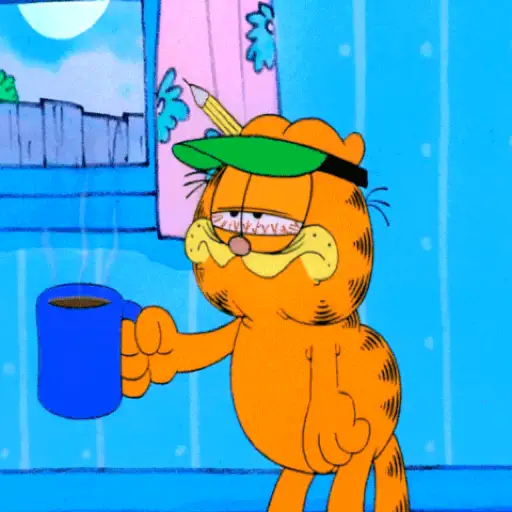 Garfield🧡🍝 8