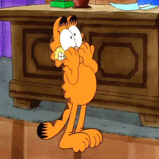 Garfield🧡🍝 14