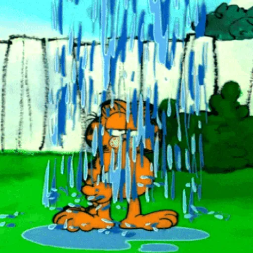 Garfield🧡🍝 4
