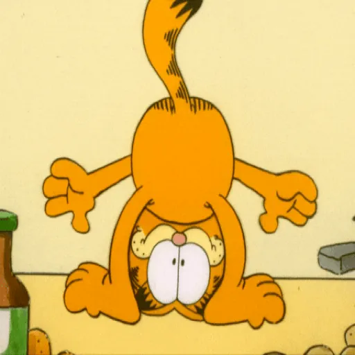 Garfield🧡🍝 12