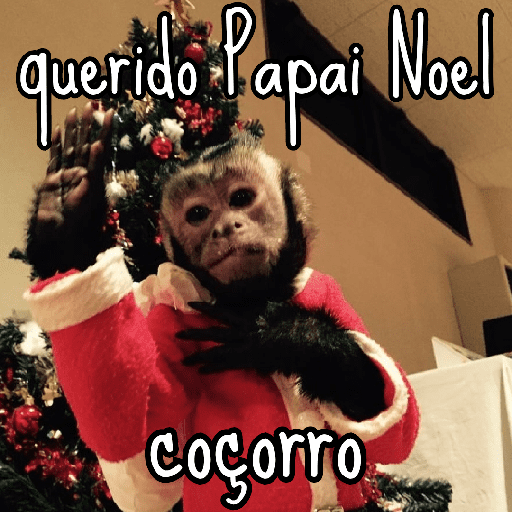 🐵 Macaco pra Reagir  15