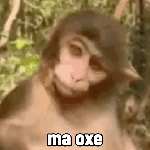 🐵 Macaco pra Reagir  10