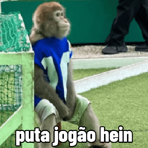 🐵 Macaco pra Reagir  21