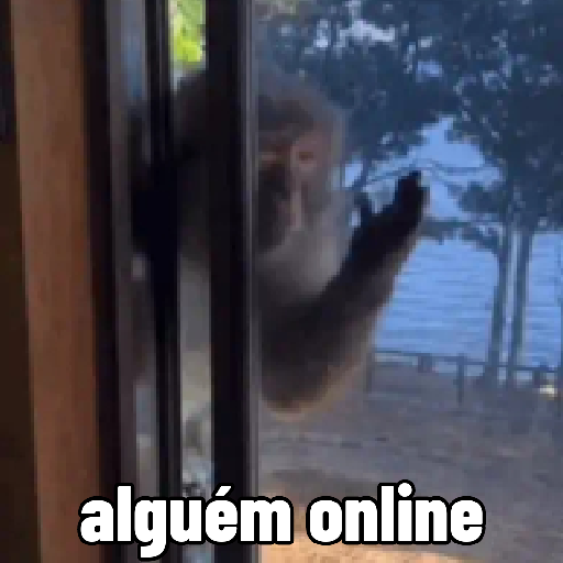 🐵 Macaco pra Reagir  17
