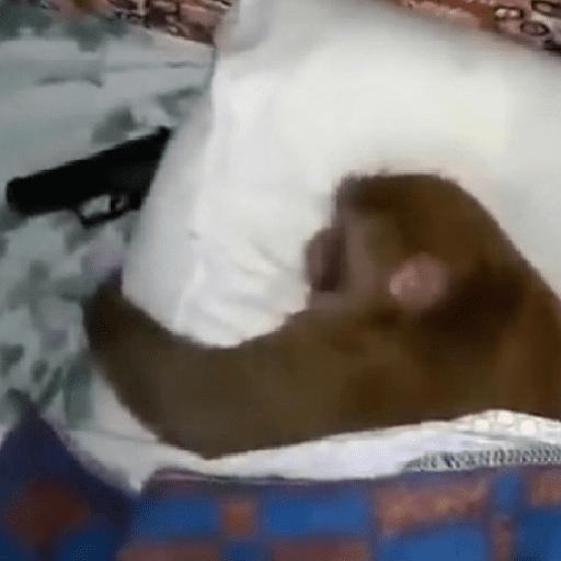 🐵 Macaco pra Reagir  5