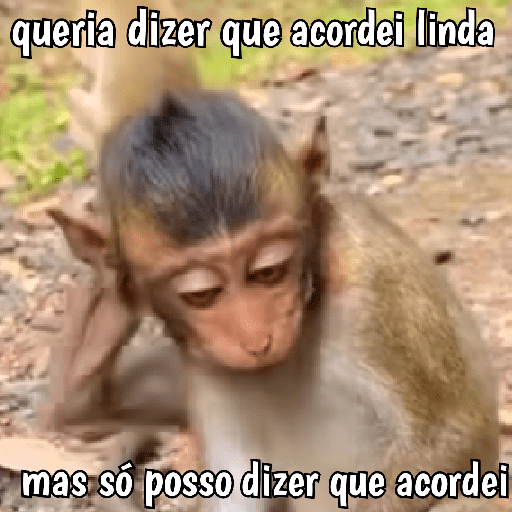 🐵 Macaco pra Reagir  26