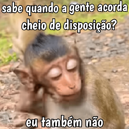 🐵 Macaco pra Reagir  25