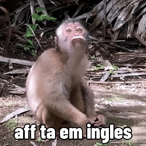 🐵 Macaco pra Reagir  18