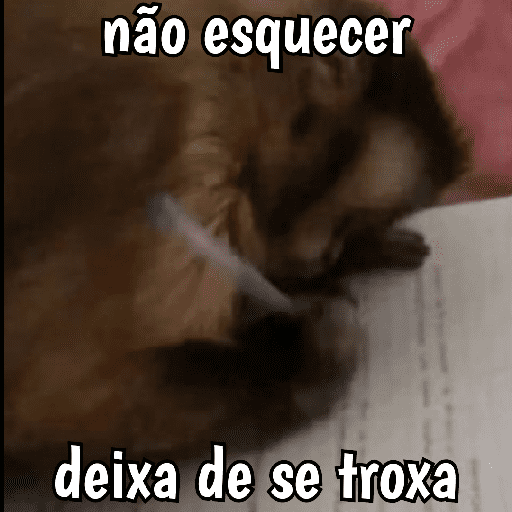 🐵 Macaco pra Reagir  14