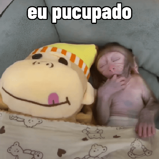 🐵 Macaco pra Reagir  27