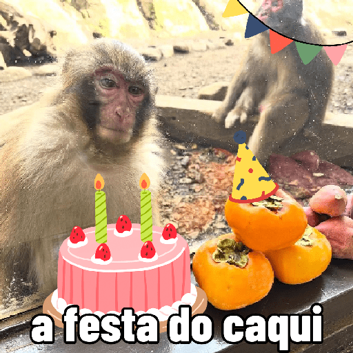 🐵 Macaco pra Reagir  13