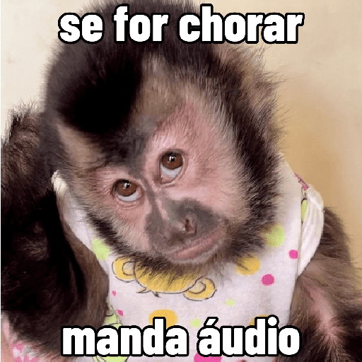 🐵 Macaco pra Reagir  22