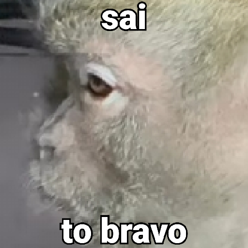🐵 Macaco pra Reagir  30