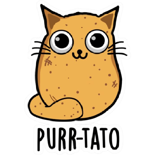 🐱 CatFood 21