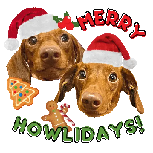 🎄 Cute Christmas | Holidays 7