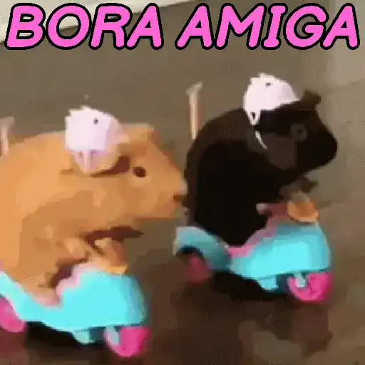 💪🏽 Vem pro Bonde 27