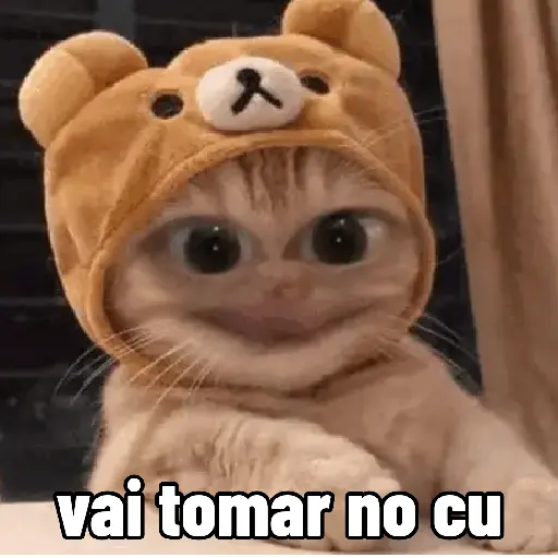 🐱 Gatinhos Debochados 1