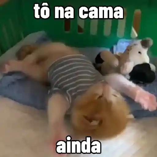 🐱 Gatinhos Debochados 21