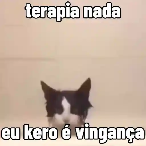 🐱 Gatinhos Debochados 4