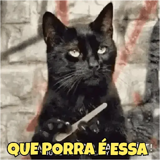 🐱 Gatinhos Debochados 9