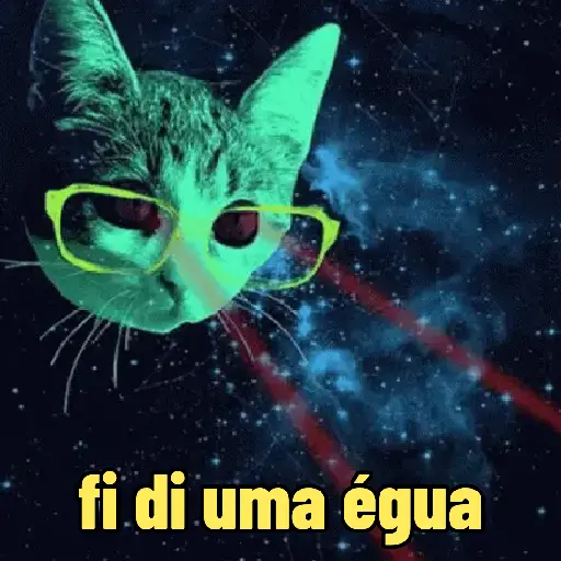 🐱 Gatinhos Debochados 2