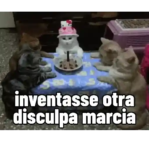 🐱 Gatinhos Debochados 29