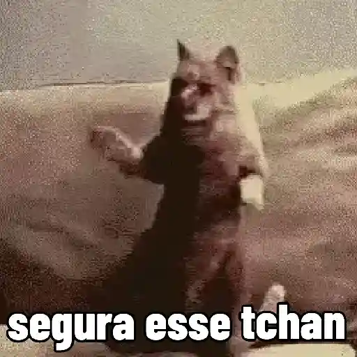 🐱 Gatinhos Debochados 6
