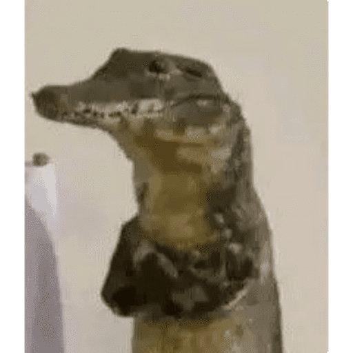 Random 4