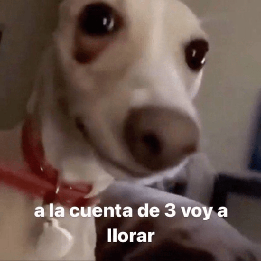 9.0 2