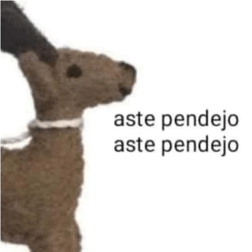 9.0 10