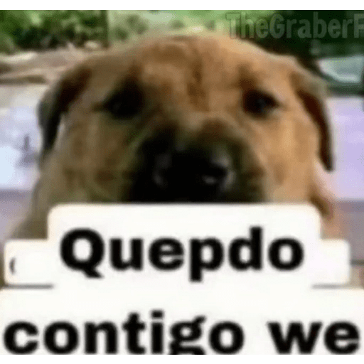 9.0 13