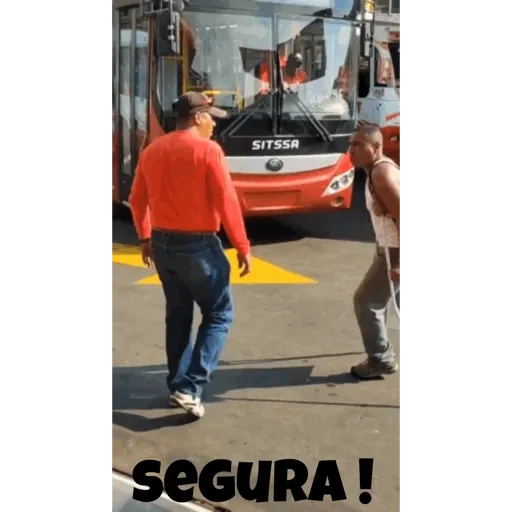 Animadas 15