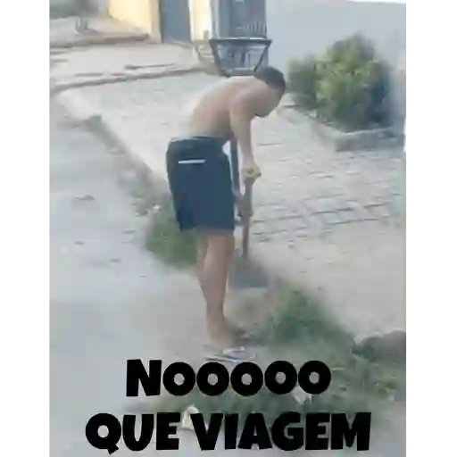 Animadas 27