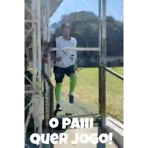 Animadas 23