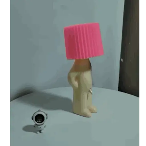 Animadas 29