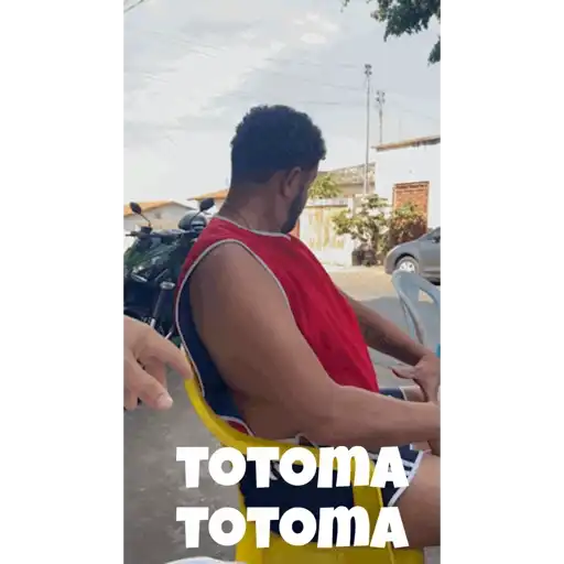 Animadas 24