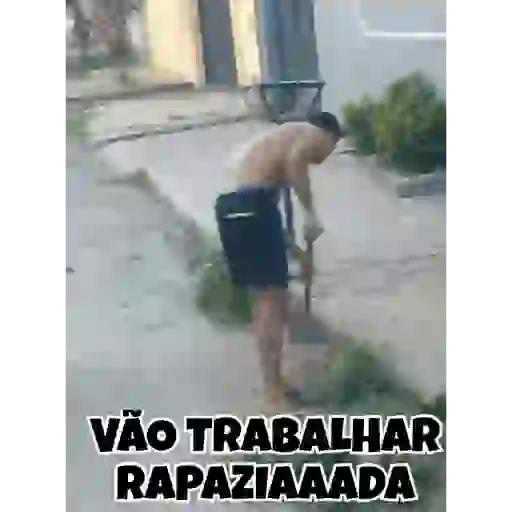 Animadas 28