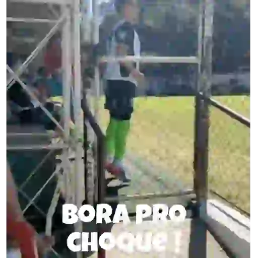 Animadas 25