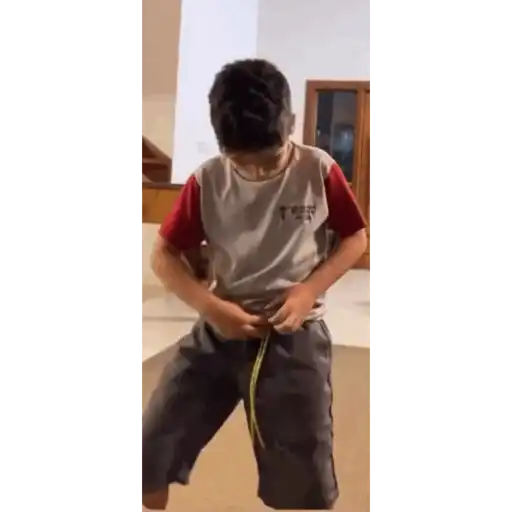 Animadas 18