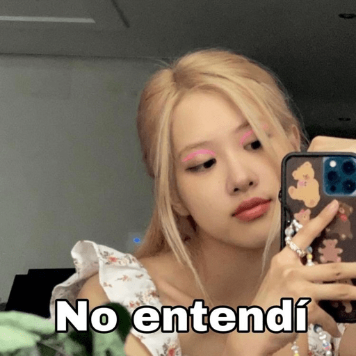 BlackpinkLol 14