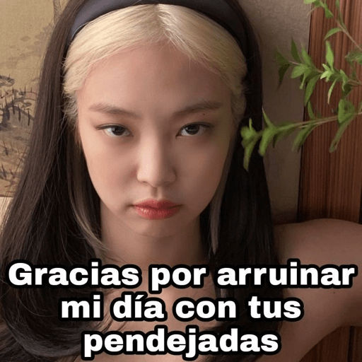 BlackpinkLol 21