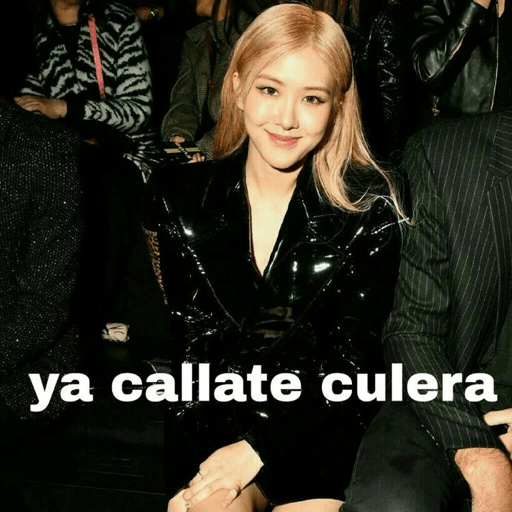 BlackpinkLol 24