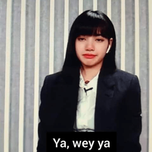BlackpinkLol 29