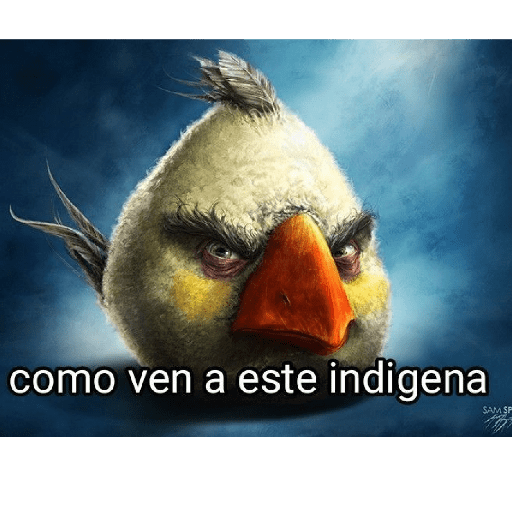 Salsas